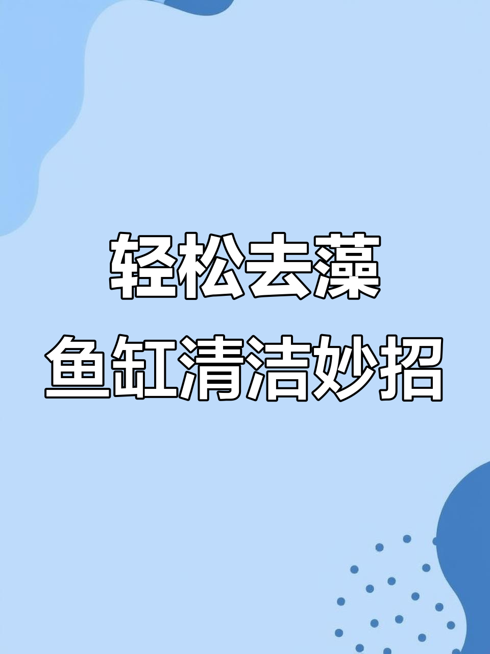 鱼缸清理神器,刮爪刀+小刷子让藻类无处藏身