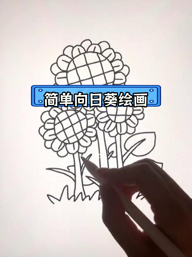 向日葵简笔画教程,轻松学会画可爱卡通
