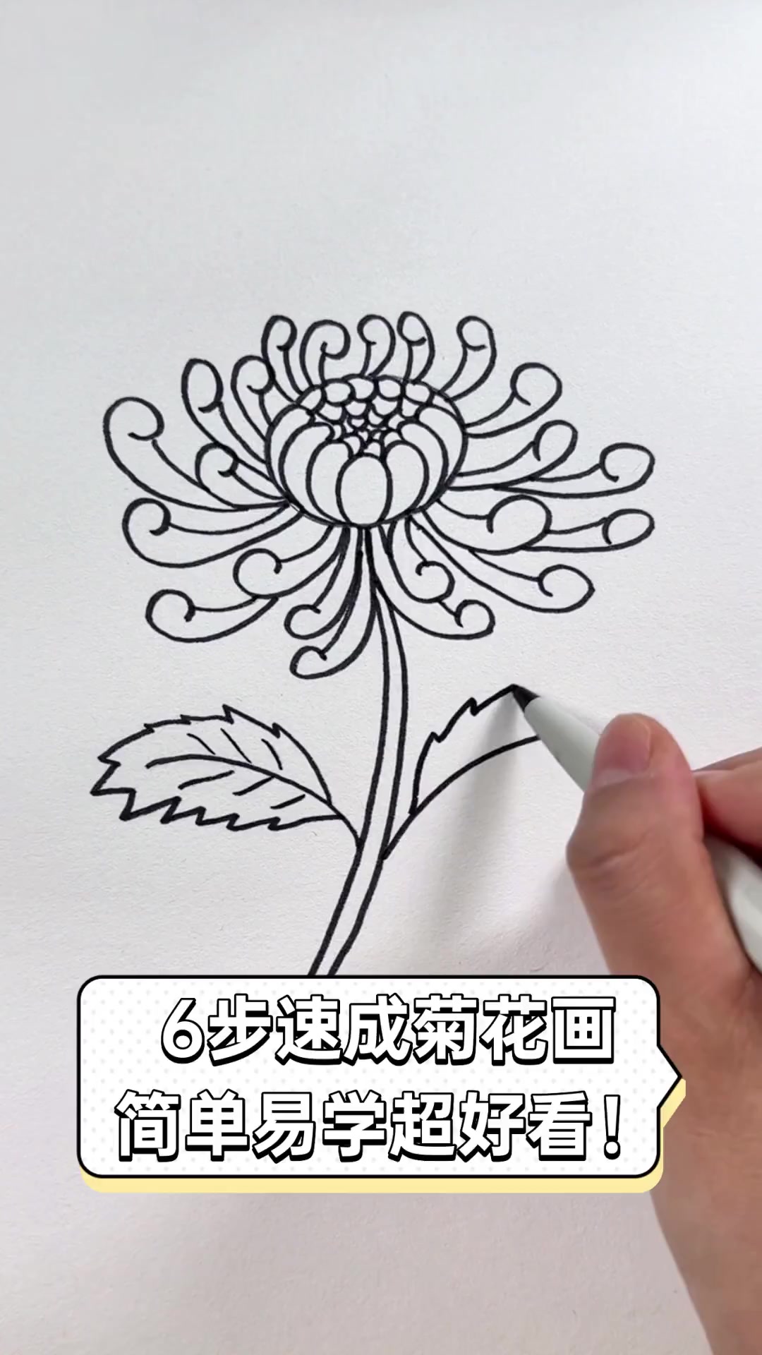 6步速成菊花画,简单易学超好看!