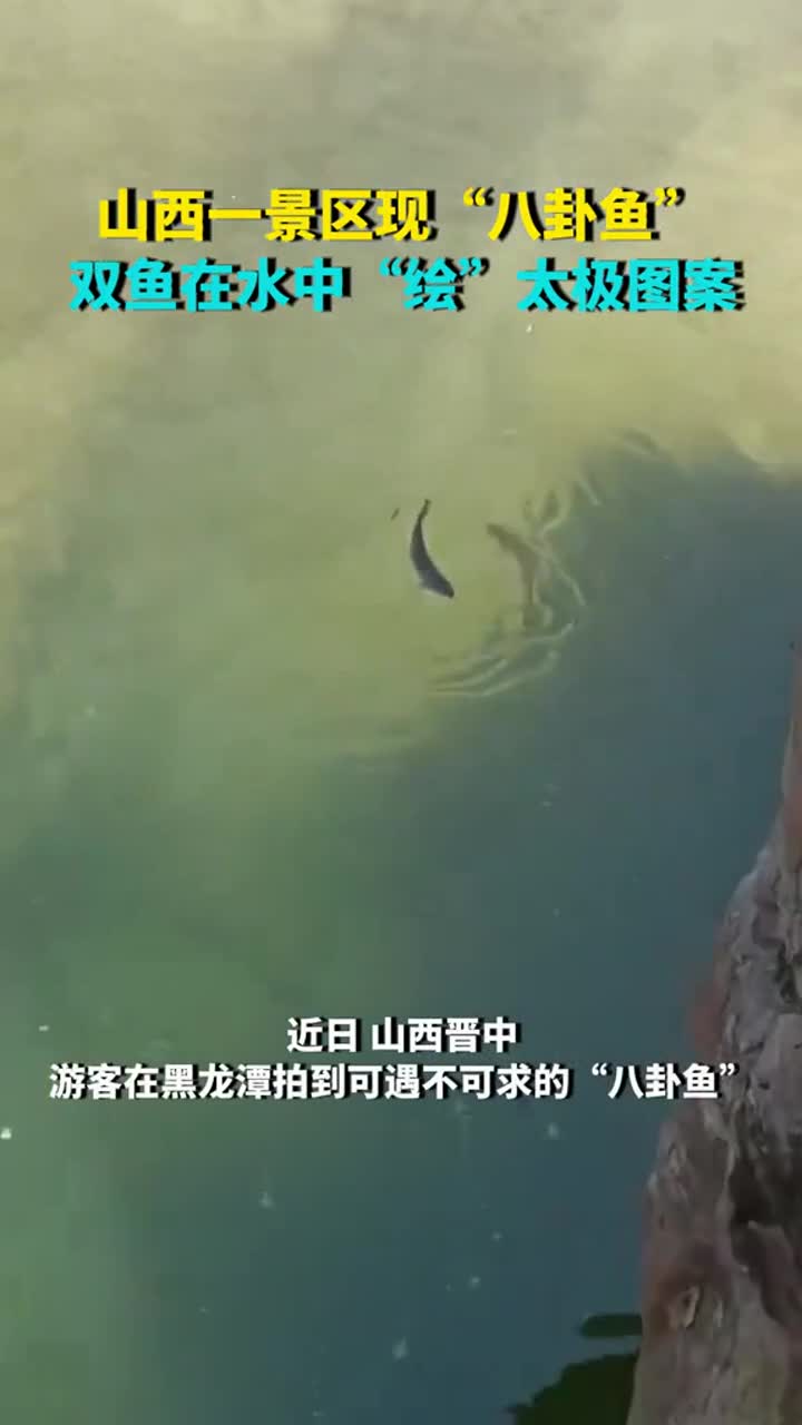 山西一景区现“八卦鱼”,双鱼水中“绘”太极图案