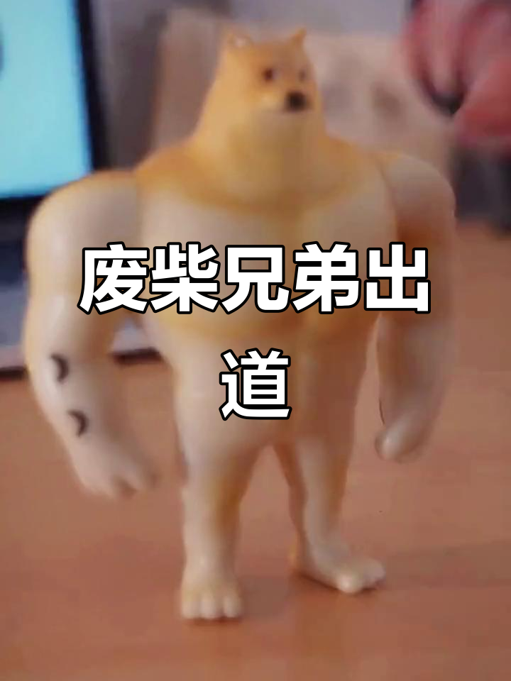 废柴兄弟正式出道,肌肉柴犬与小废柴的搞笑日常