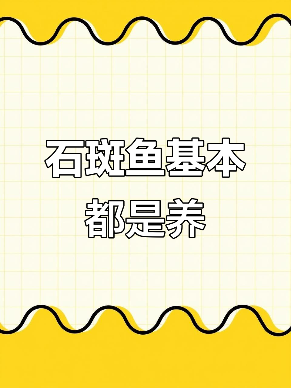 市面上石斑鱼几乎都是养殖的,野生难寻