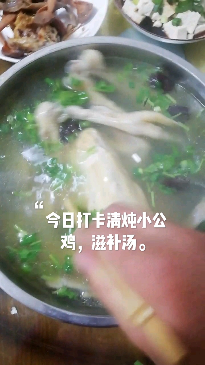 清炖全鸡