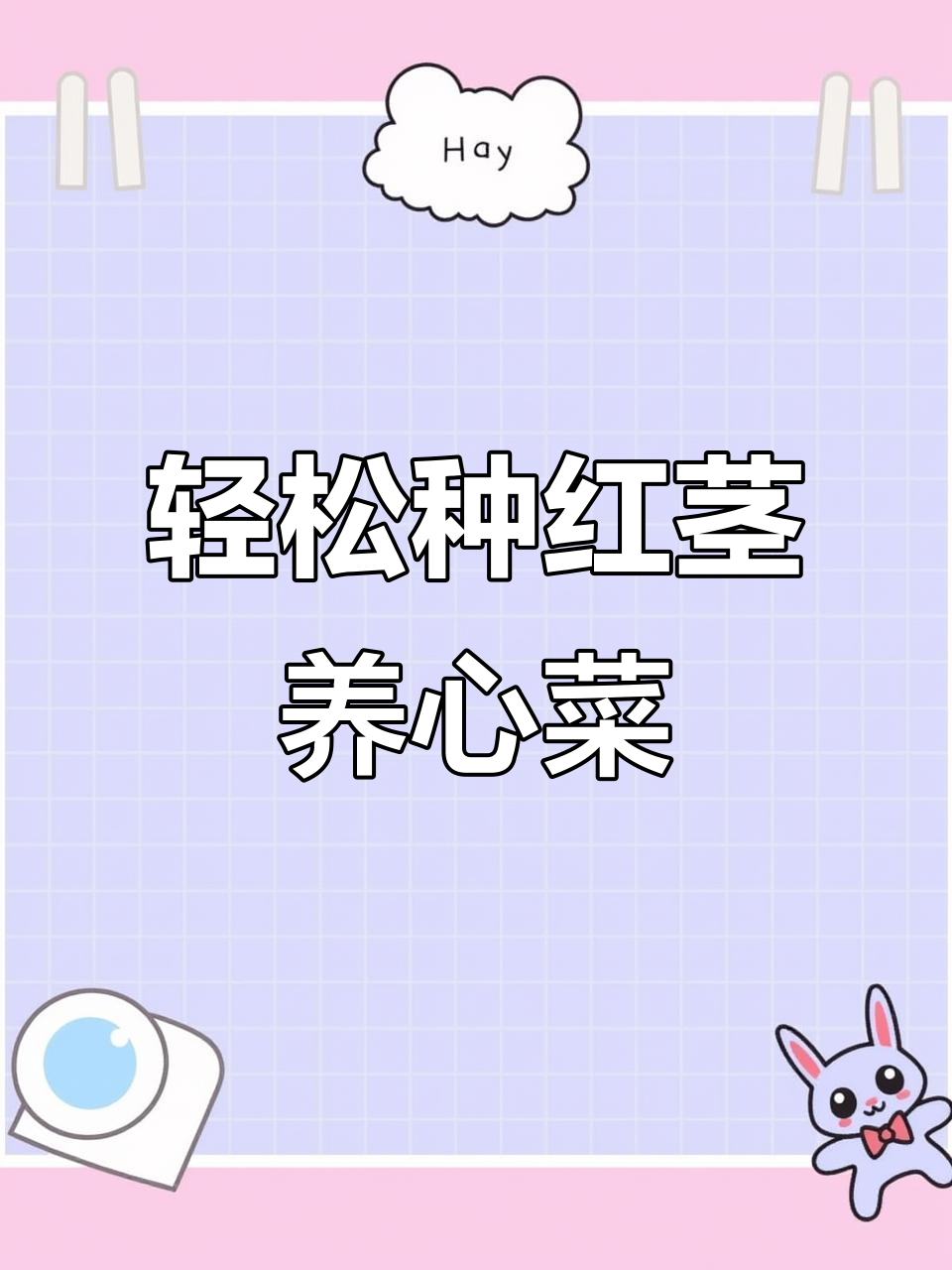红茎养心菜种植技巧：从选地到收获全攻略