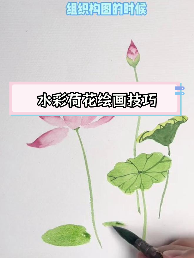 荷花水彩画教程,轻松学会绘制美丽莲花