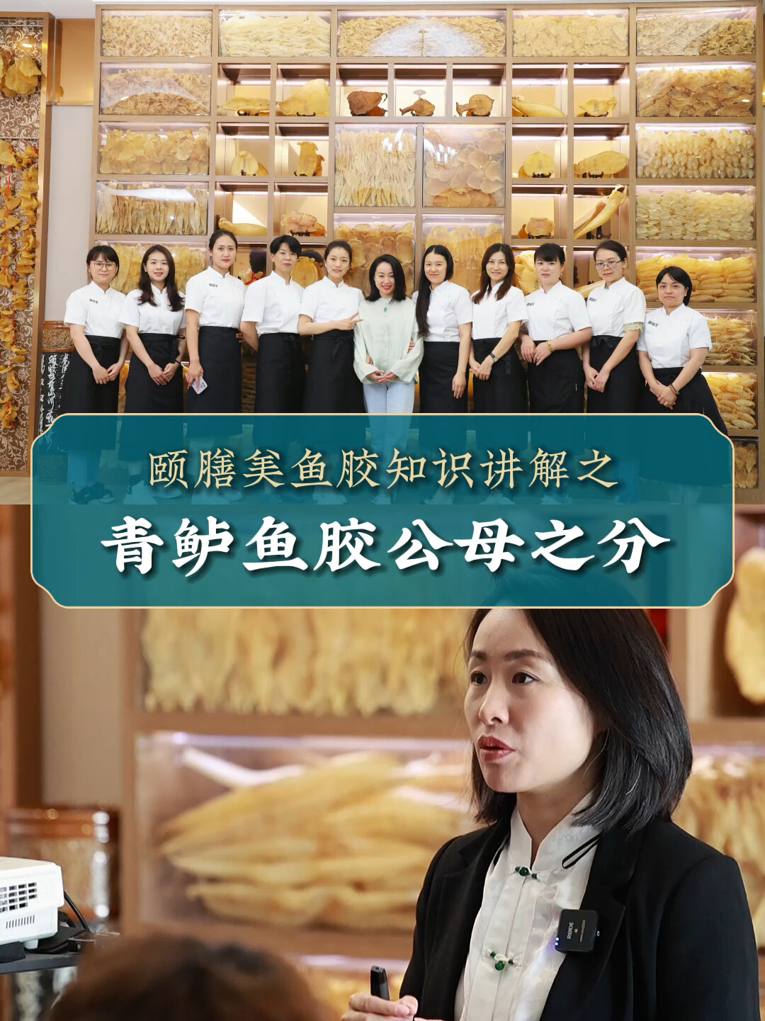 颐膳美鱼胶花胶知识讲解之青鲈鱼胶公母之分