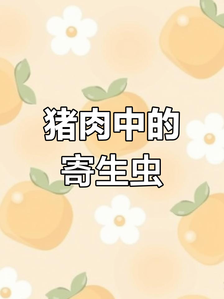 显微镜下看猪肉,寄生虫竟然藏在这里!