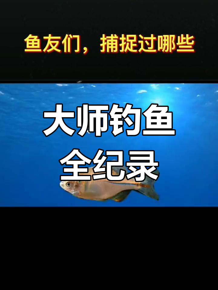 钓过这么多鱼,竟然有这些品种!