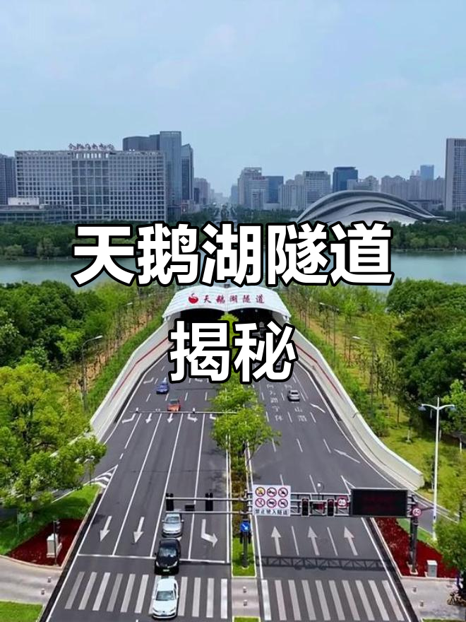 合肥天鹅湖隧道,惊艳来袭!