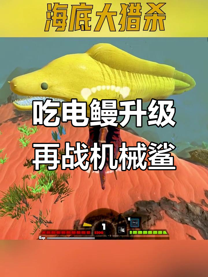 挑战彩虹机械鲨鱼前,先吃巨型黄金电鳗提升实力!