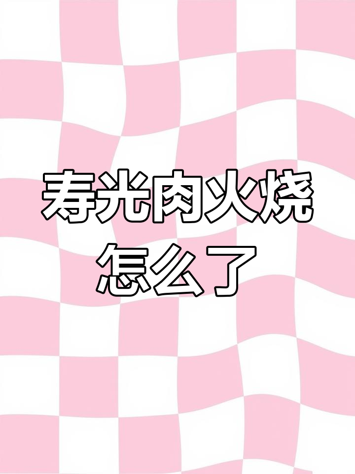 寿光肉火烧的独特魅力,谁能解释?