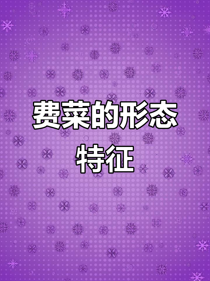 费菜,景天科草本植物,肉质叶聚伞花序
