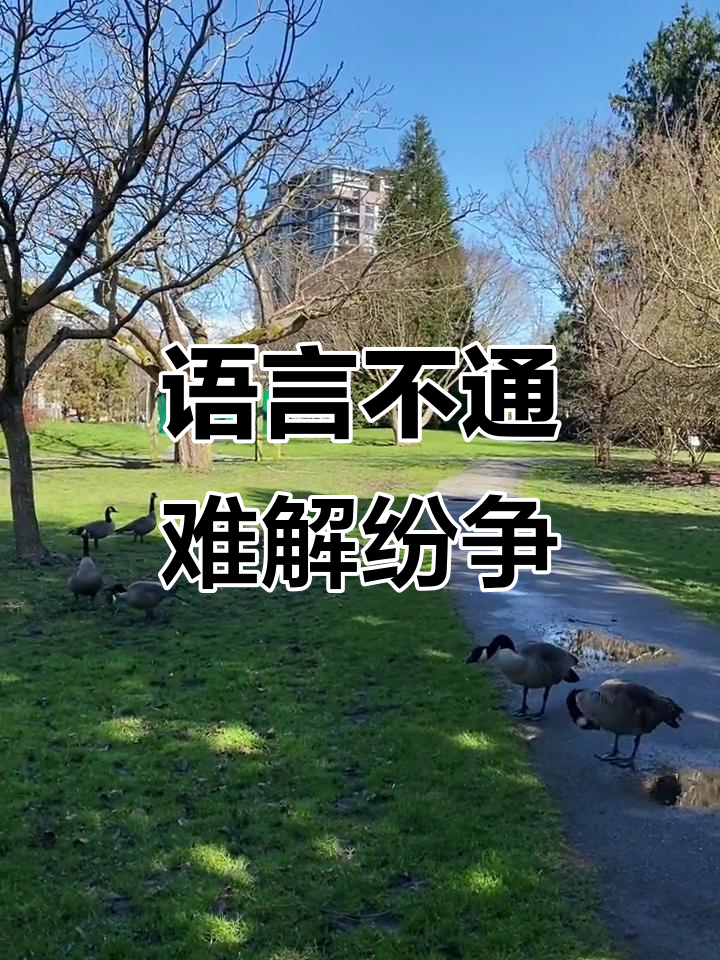 鹅国冲突一触即发,语言不通如何调解?