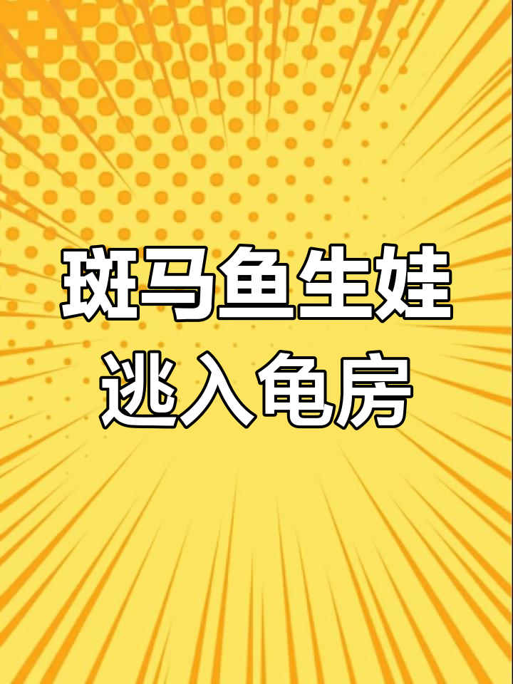 斑马鱼生宝宝后竟然跑进龟房间,太搞笑了!
