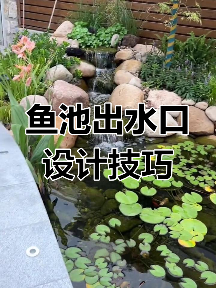 打造自然生态鱼池出水口