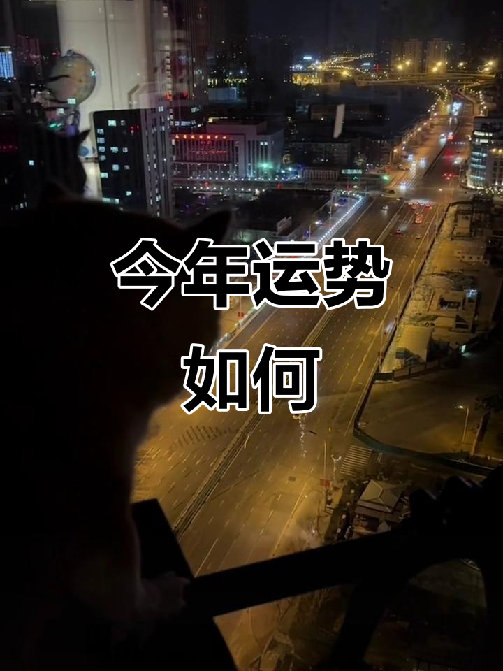 新年财运桃花运旺不旺?烧鹅仔来预测!