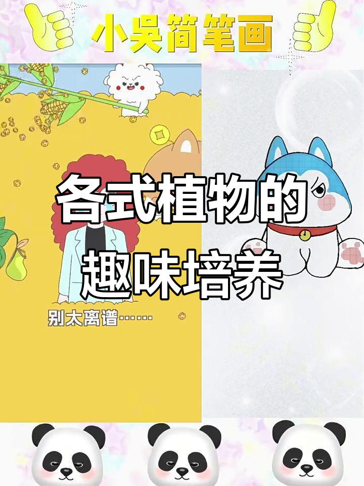 植物大比拼:含羞草、韭菜与猪笼草的奇葩成长之路