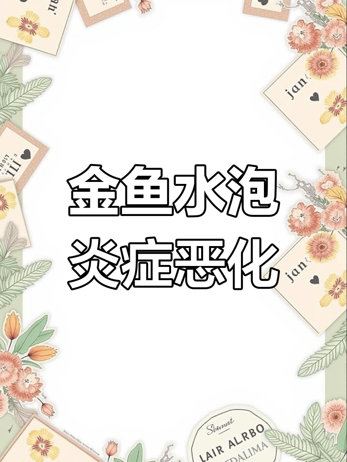 水泡眼金鱼的故事:从美丽到病痛,最后一步的挣扎