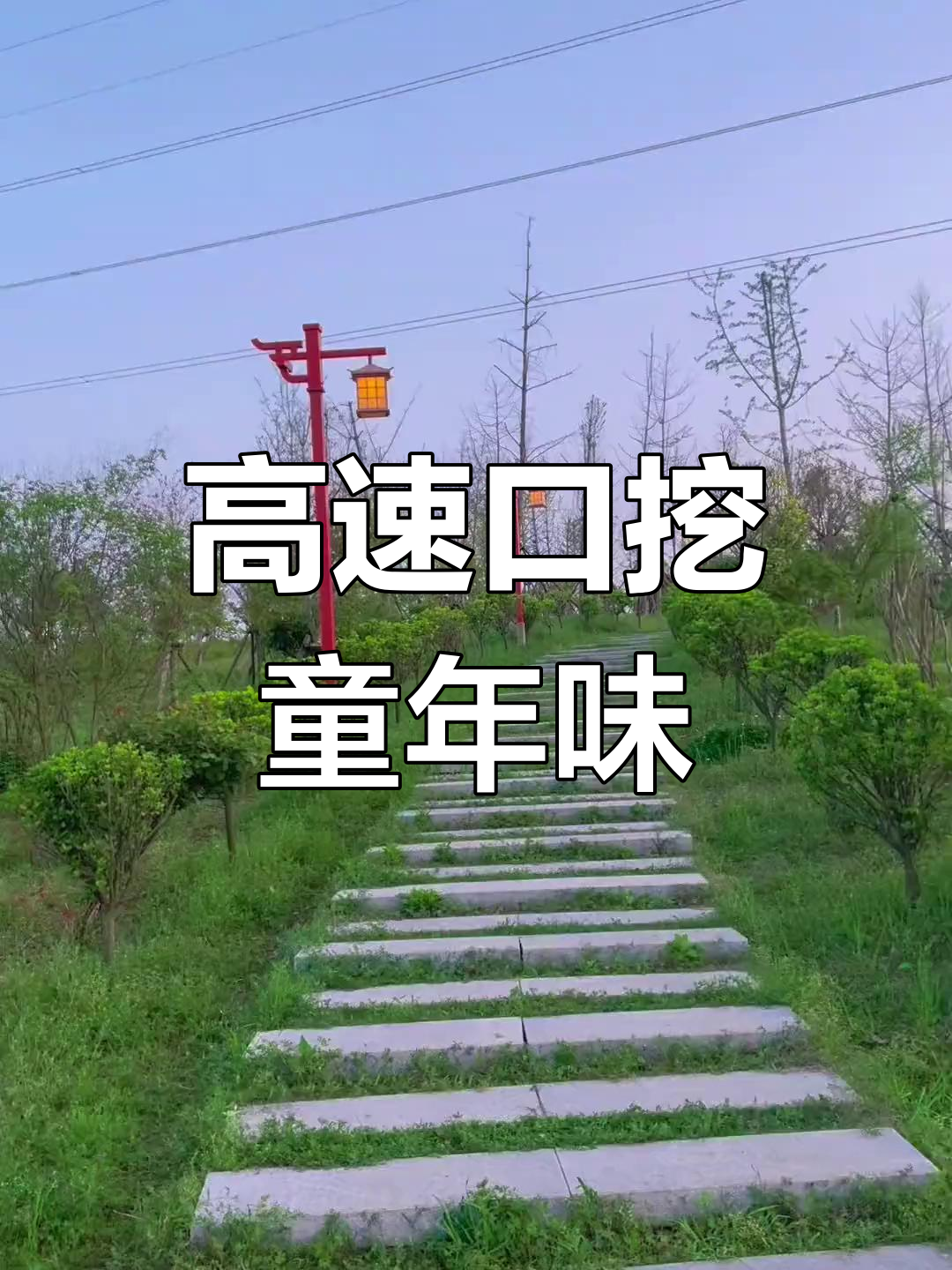高速口公园挖野菜,童年回忆满满