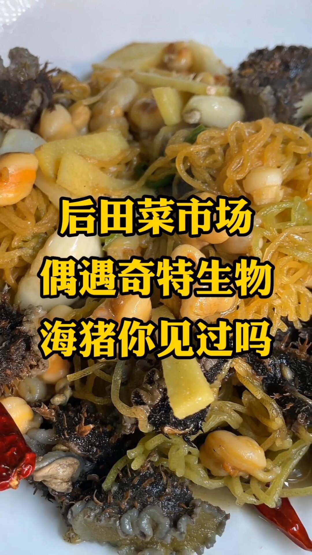 海猪?见过吗