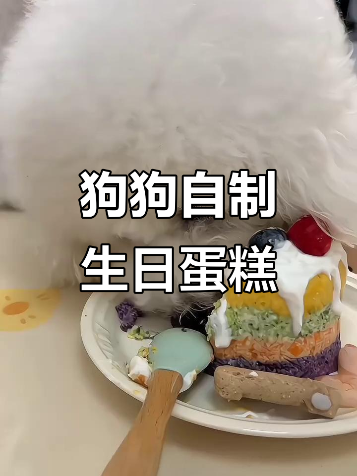 自制狗狗生日蛋糕,健康又美味!