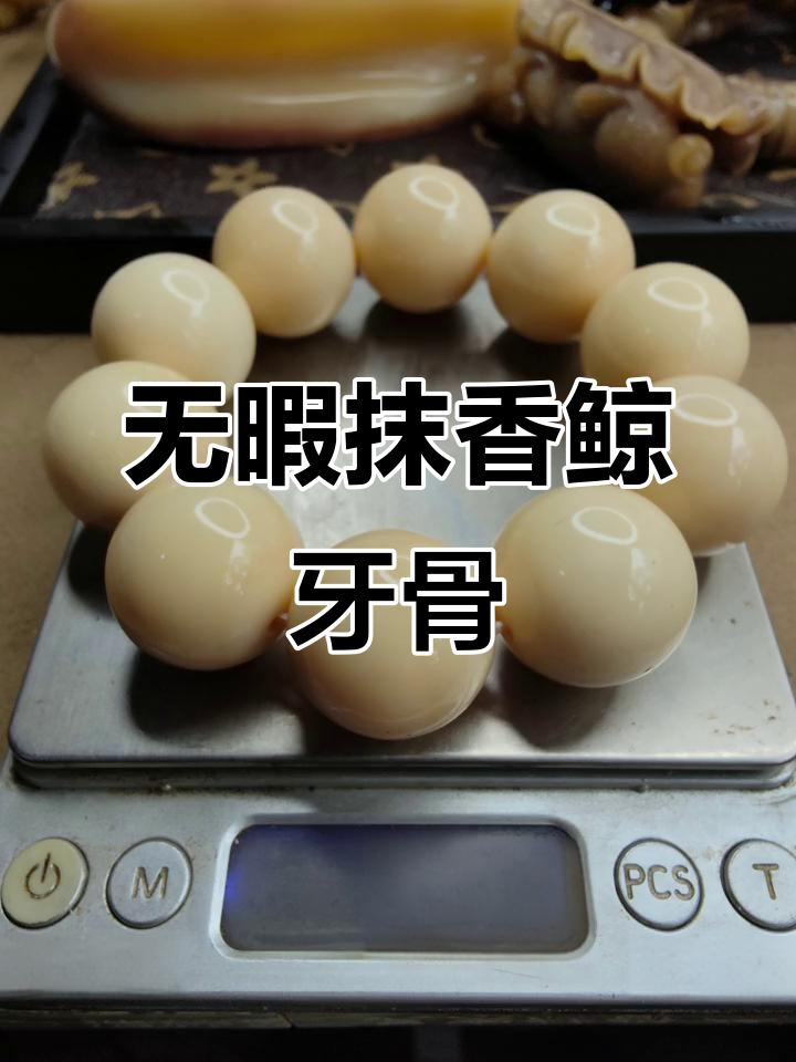 罕见抹香鲸牙骨,完美无瑕的文玩珍品