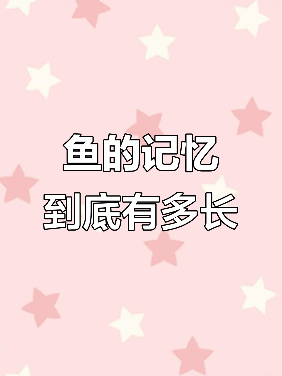 鱼真的只有三秒记忆？揭秘它们的“记忆力”真相