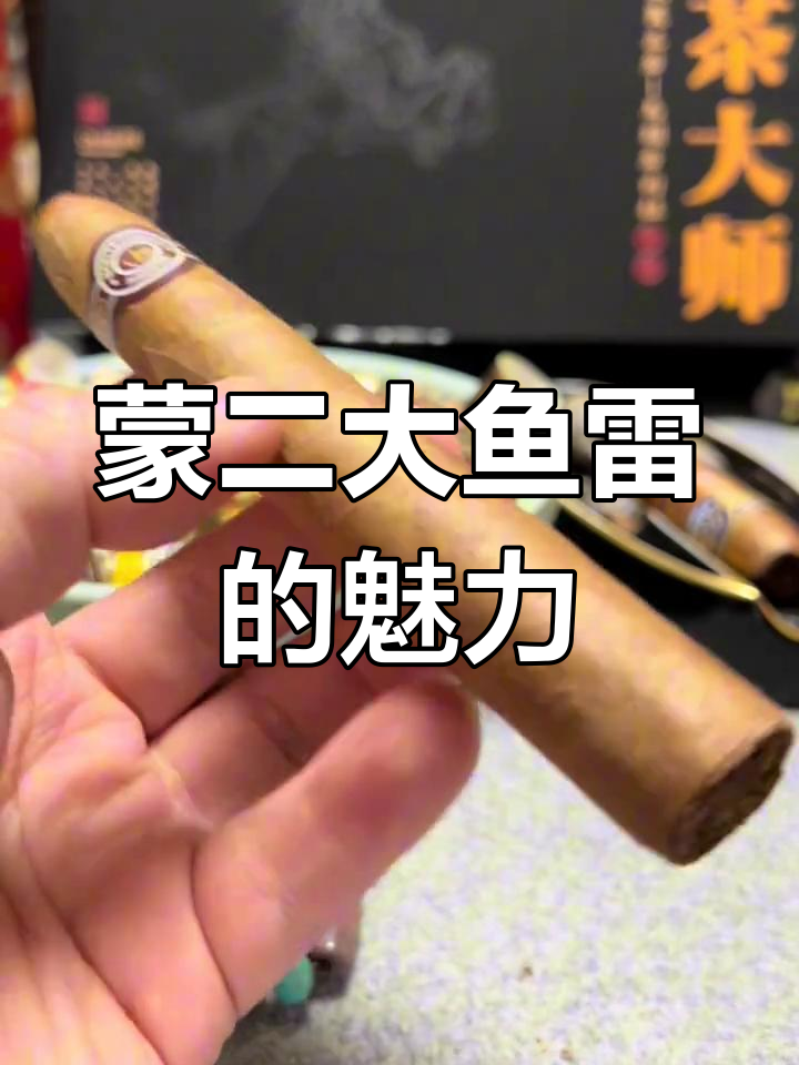 蒙特克里斯托2号鱼雷:经典雪茄,性价比之王