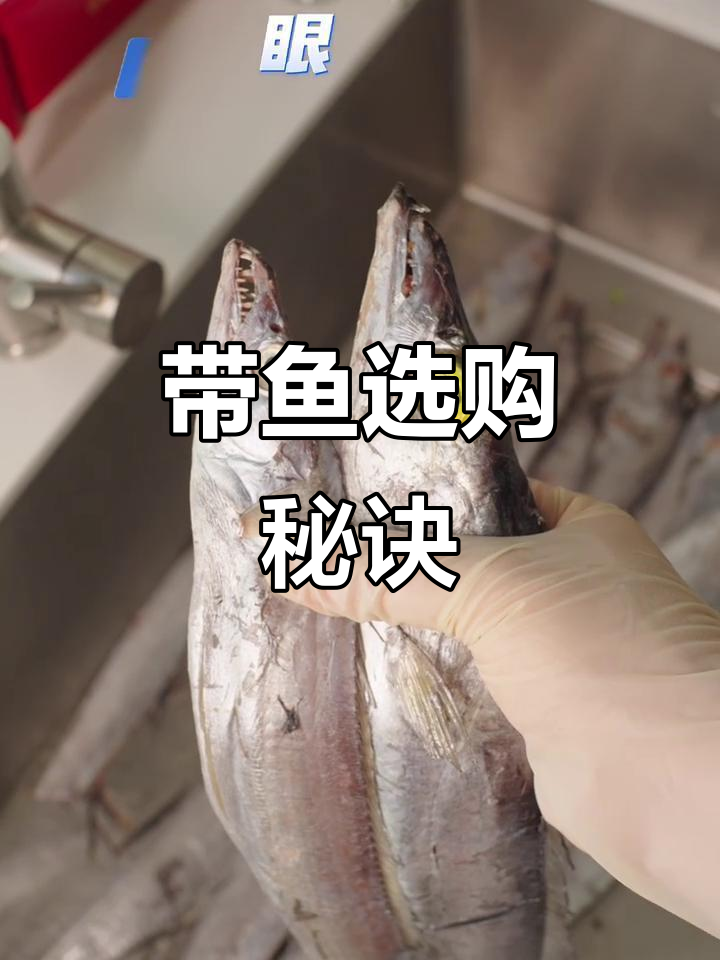 挑选带鱼有诀窍，四步轻松辨别优质肉质！
