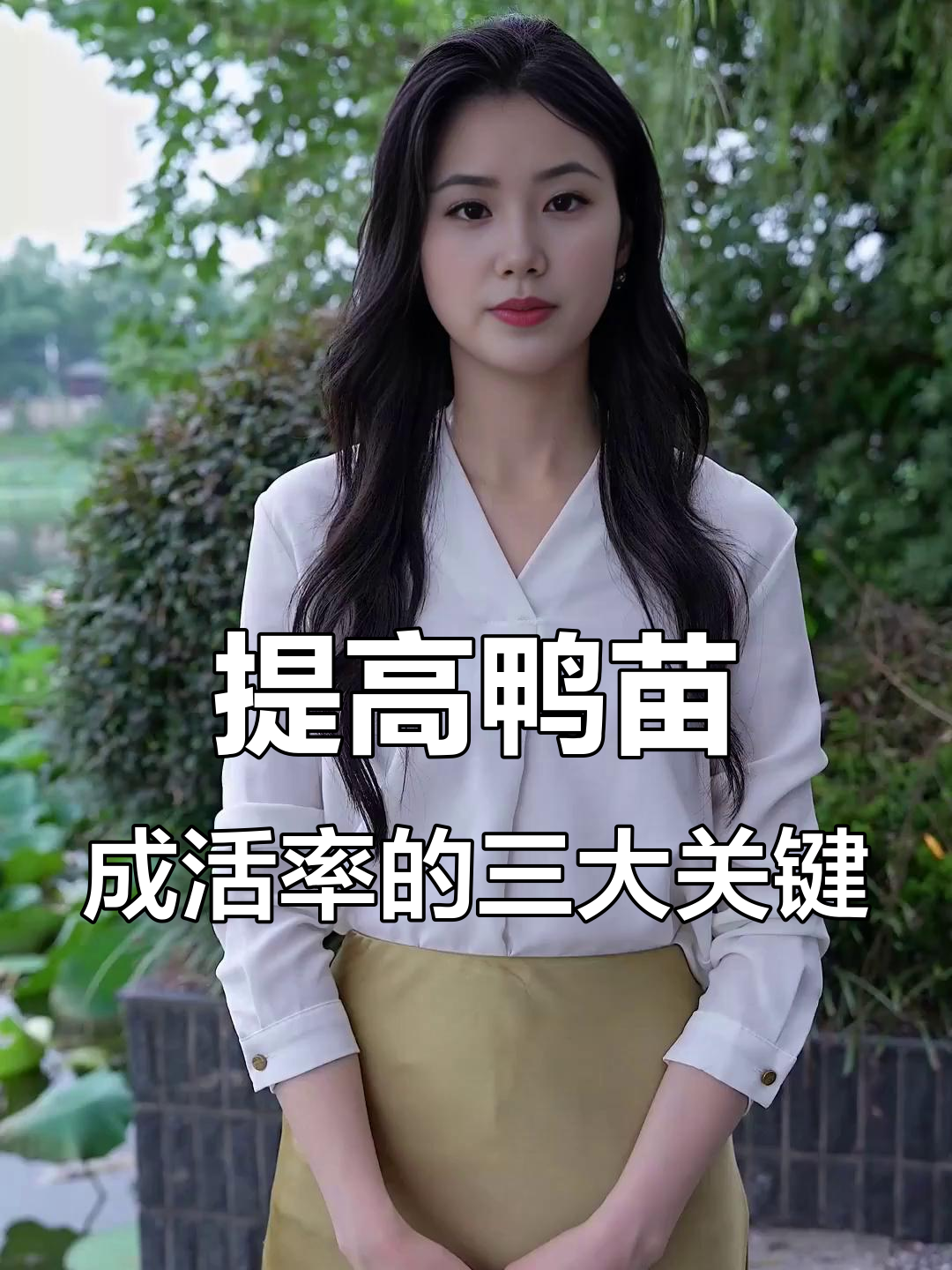 鸭苗到家必做三件事,成活率大幅提升