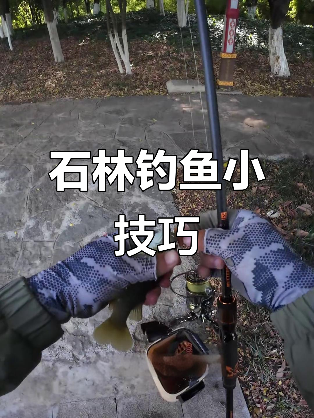 石林太阳鱼钓法揭秘,轻松上手!