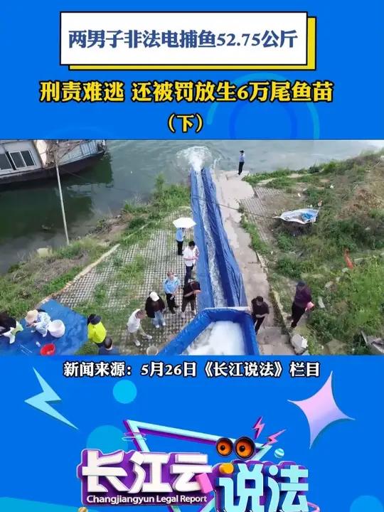 两男子非法电捕鱼52.75公斤!获“生态罚单”。(下)