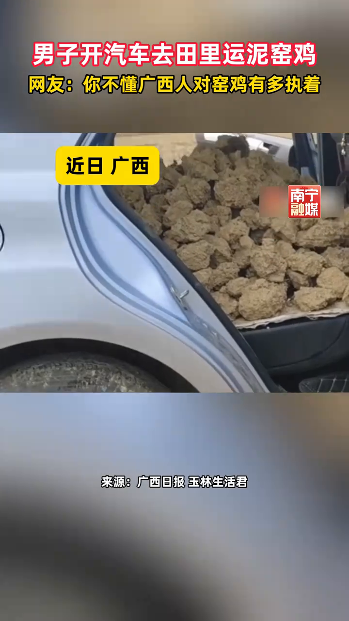 男子开汽车去田里运泥来窑鸡