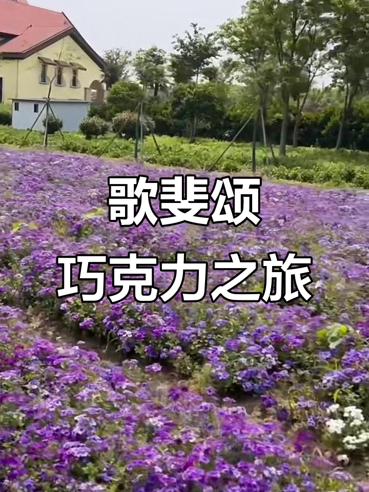 探访歌斐颂巧克力小镇,品味甜蜜与浪漫