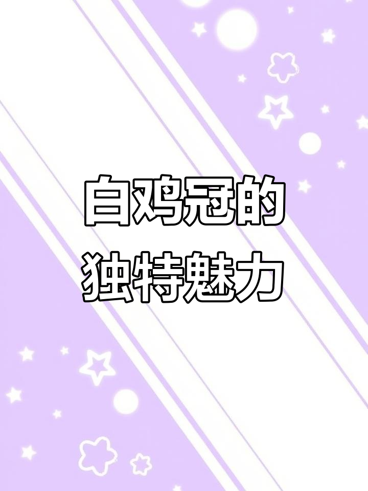 岩茶白鸡冠,独特香气无法复制!