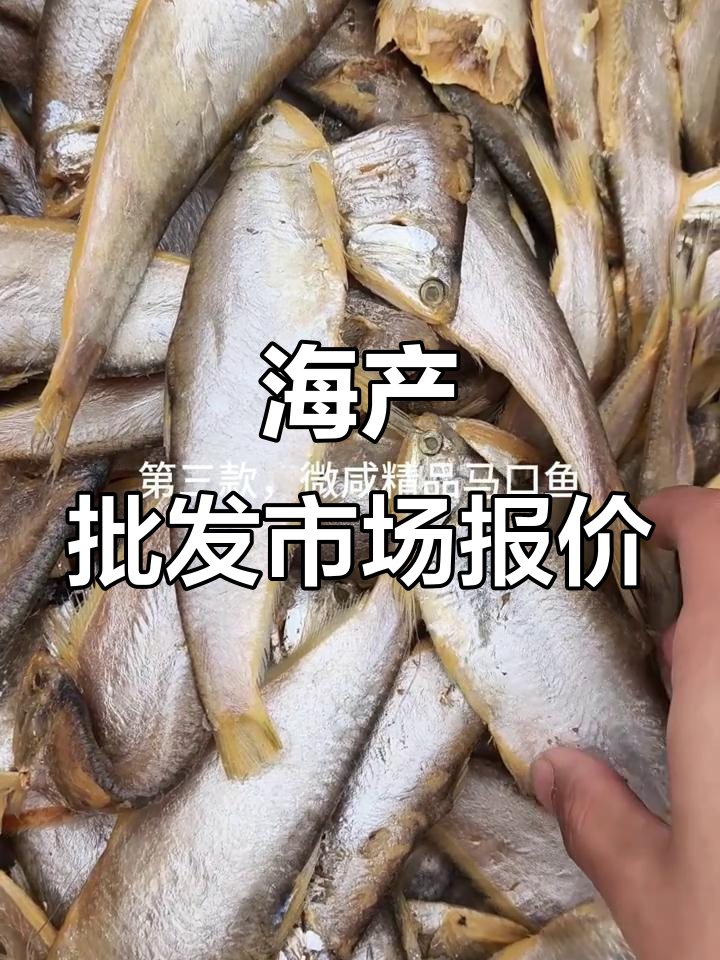冯家海产市场行情:鲅鱼、马口鱼干货全解析