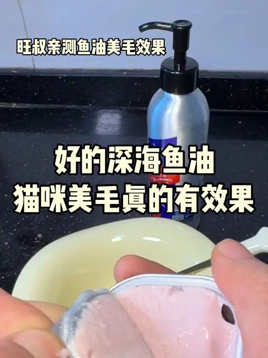 MAG 深海鱼油 旺叔亲测,猫咪美毛真的有效果#猫咪美毛吃什么#宠物鱼油#MAG#旺叔喂猫