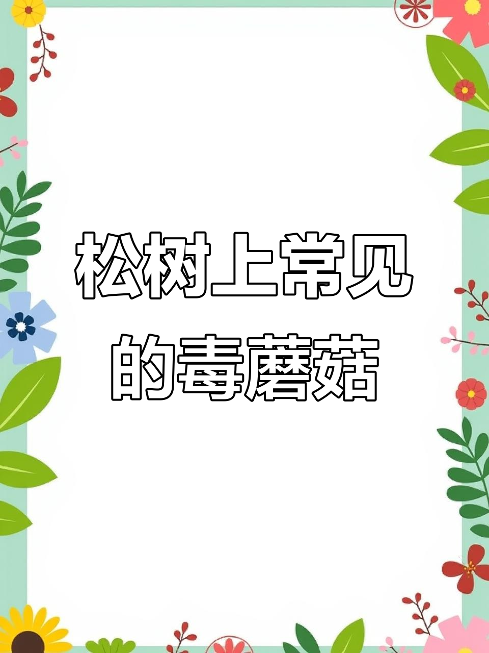 松树毒蘑菇:赭红拟口蘑的致命魅力