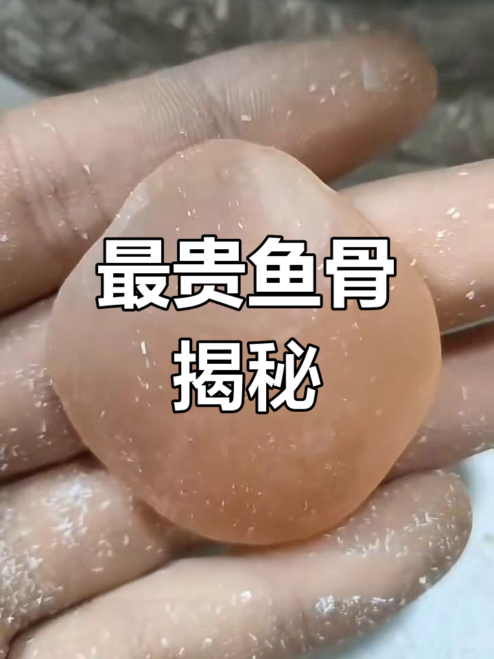 青鱼石:最贵的鱼骨头,竟能驱邪保平安