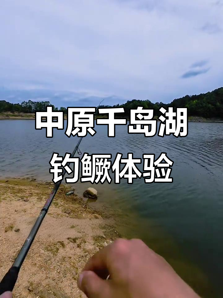 探秘中原千岛湖鳜鱼水库,风景如画却难寻好机会