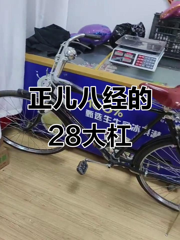 28大杠自行车,鸭子也能骑!