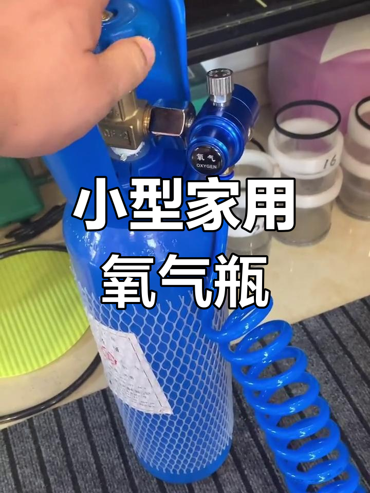 家庭养鱼新设备:4升氧气瓶升级