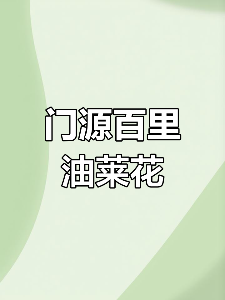 青海门源油菜花海,美景吸引八方游客