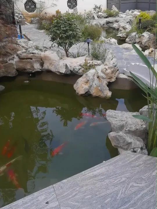 庭院生态系统-鱼池过滤系统