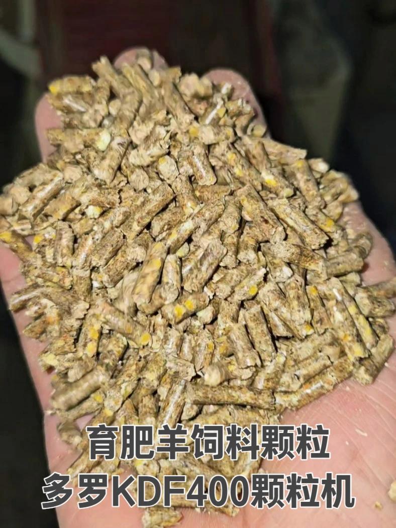 育肥羊饲料颗粒:玉米+麦麸+花生叶粉+柠条+瓜子。颗粒机 育肥羊 养羊 颗粒生产线 多罗颗