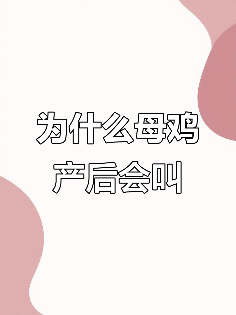 母鸡下蛋后为何咯咯叫?揭秘背后的原因