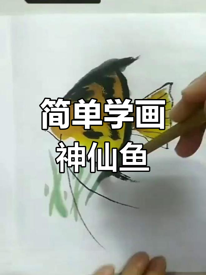 神仙鱼国画教程,轻松学会