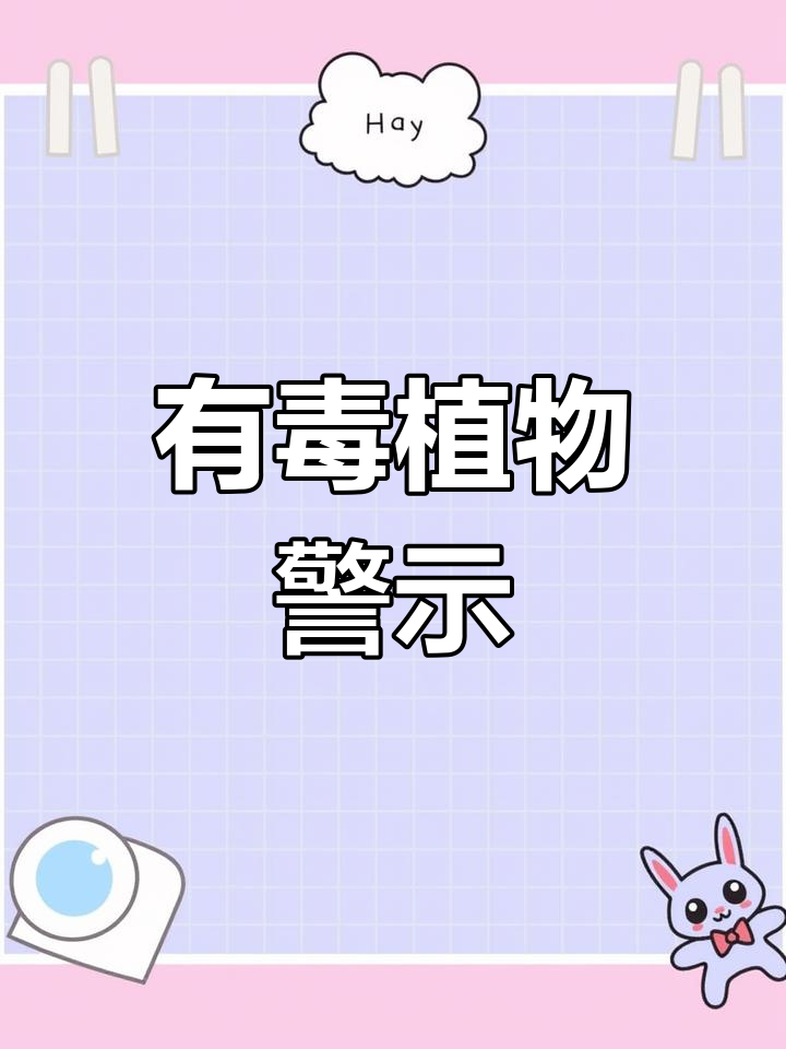许多常见植物有毒,切勿随意触摸或食用