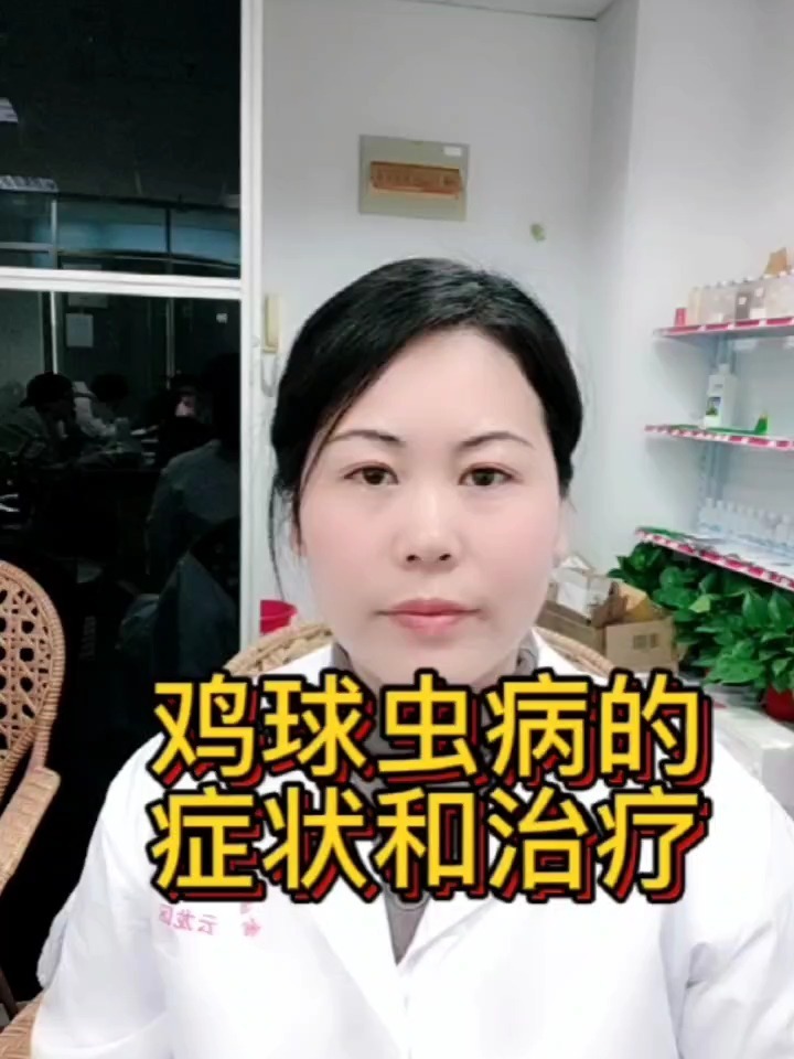 鸡球虫病的症状和预防 鸡球虫病用什么好
