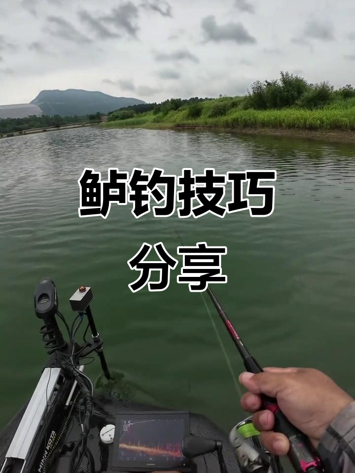 鲈钓技巧大揭秘!如何精准操控水面,避免失误